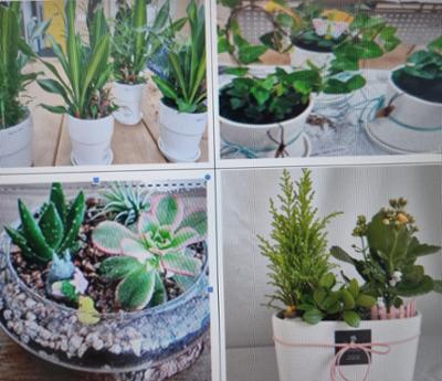 탄소중립실천을 위한 원예교실